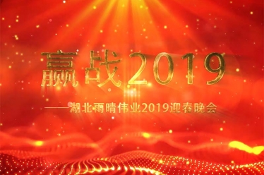 湖北雨晴偉業(yè)2019迎春晚會